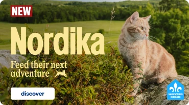 Nordika promotional banner featuring an orange cat sitting on a rock in a lush green landscape. The visual includes the text “NEW,” “Nordika,” and “Feed Their Next Adventure,” along with a “Learn More” button. “Made in Quebec” logo appears in the bottom right corner.