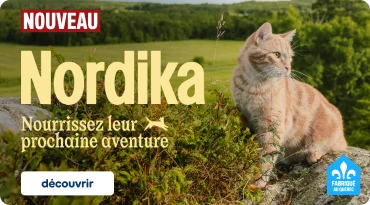 Bannière promotionnelle Nordika montrant un chat roux assis sur un rocher dans un paysage verdoyant. Le visuel affiche le texte « NOUVEAU », « Nordika » et « Nourrissez leur prochaine aventure », avec un bouton « découvrir ». Logo « Fabriqué au Québec » dans le coin inférieur droit.