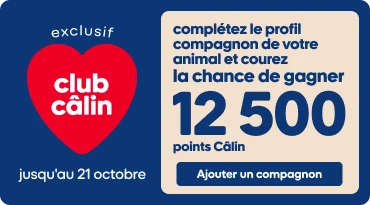 Bannière pour un concours du club câlin, carte cadeau de 250$ à gagner en points.