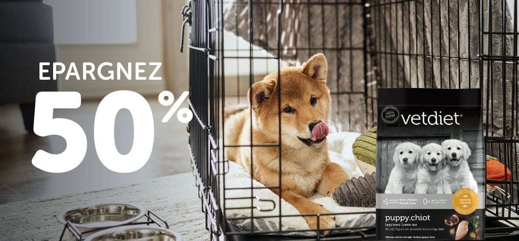 ConTour/ Ovation/ Pawtek