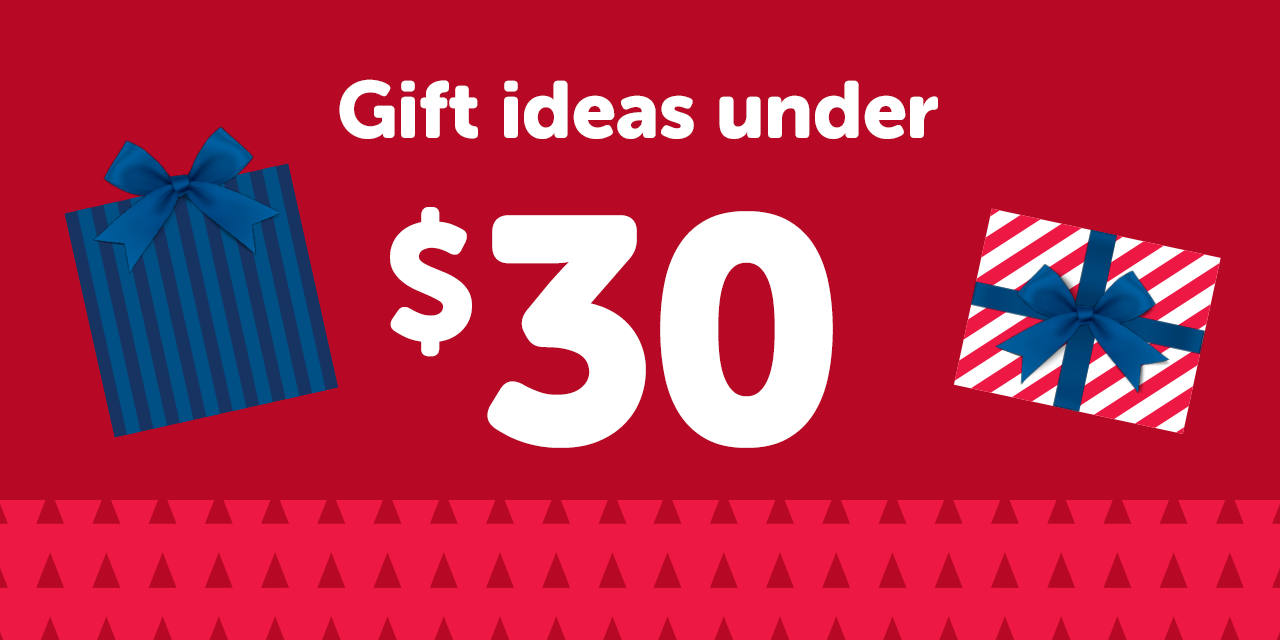 Gift ideas under $30
