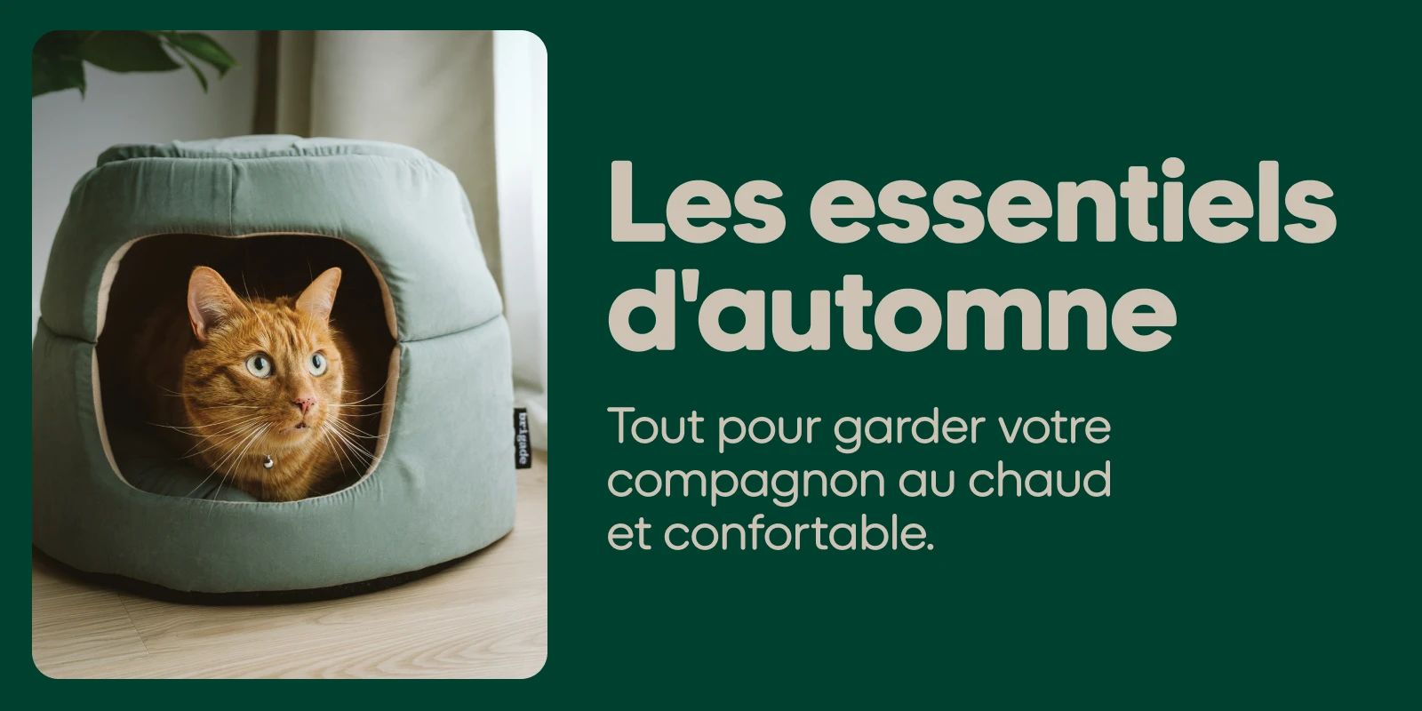 Essentiels d'automne