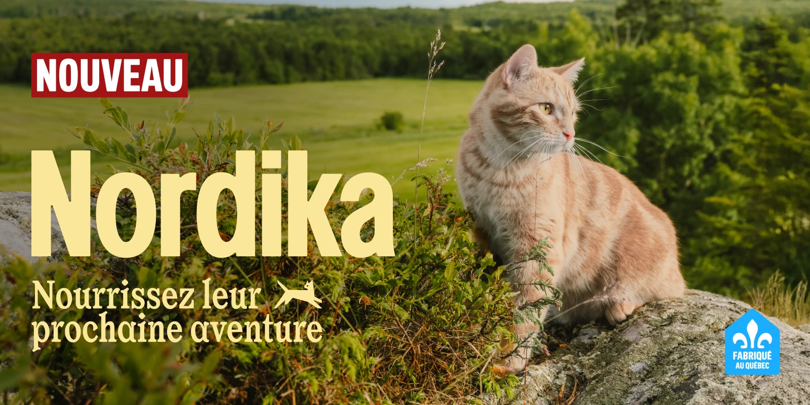 Nordika