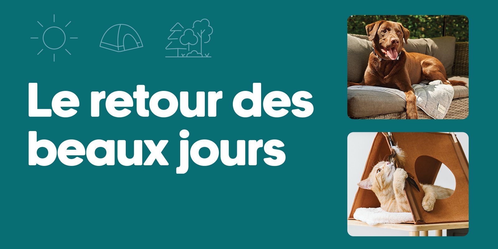 Printemps - nouveautés