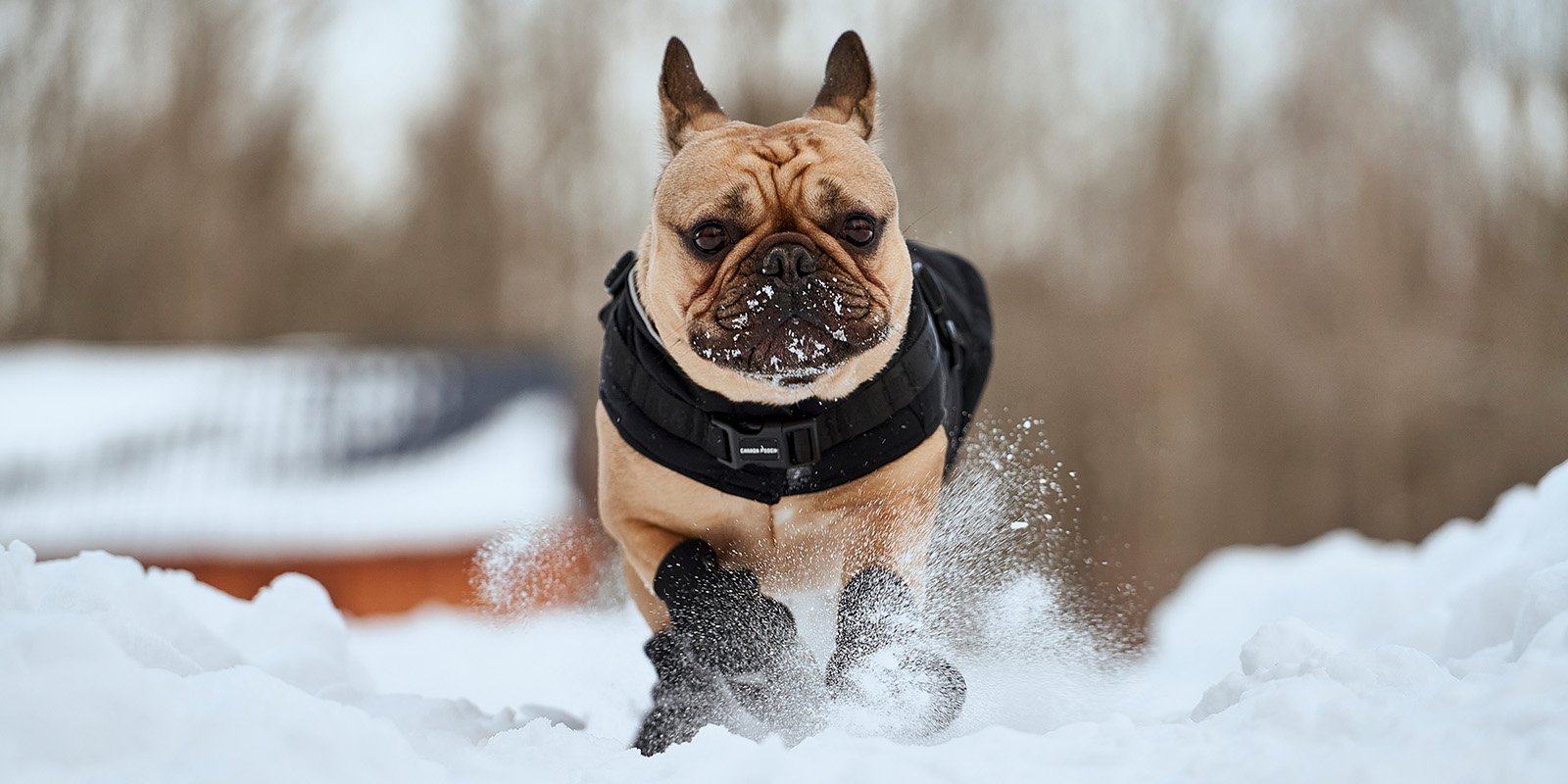 Les essentiels d'hiver