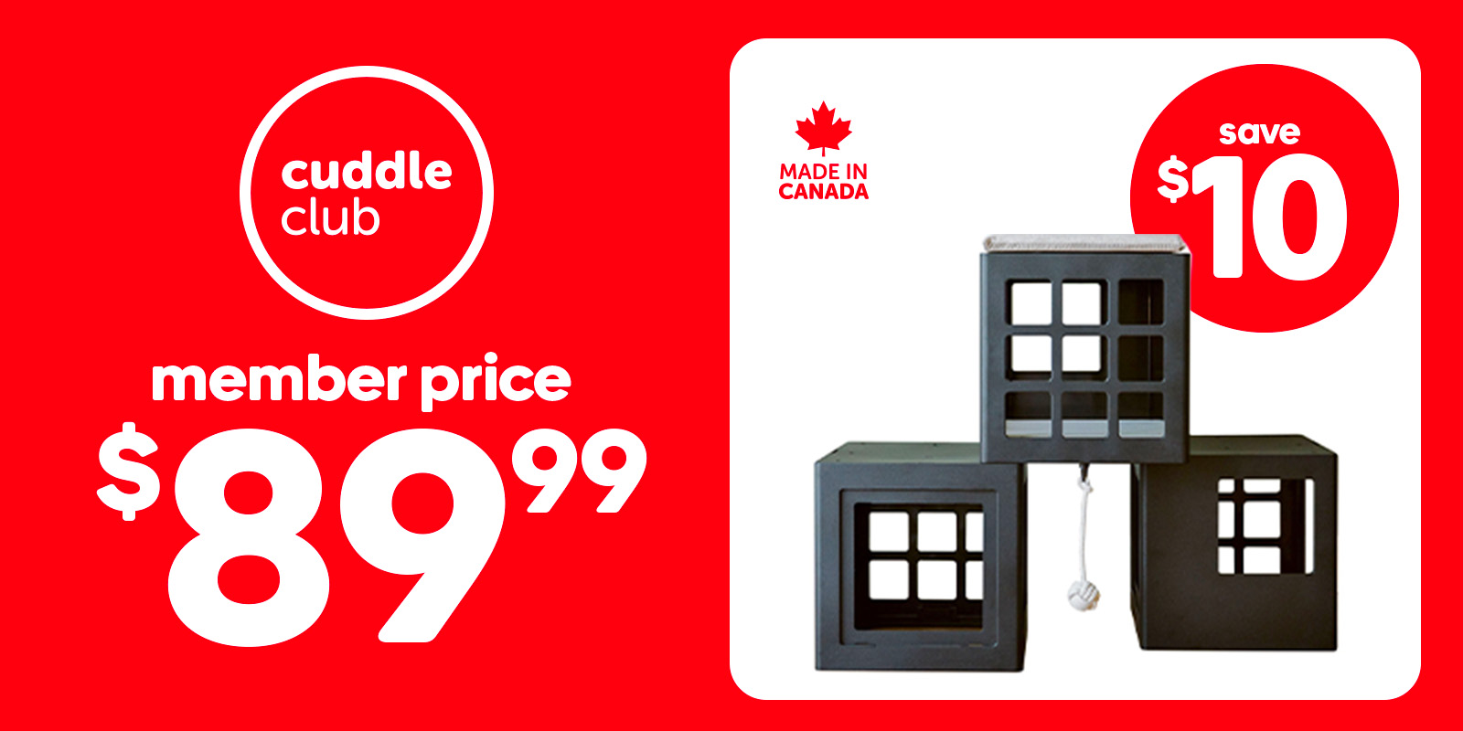 BEONEBREED KATT KUBE