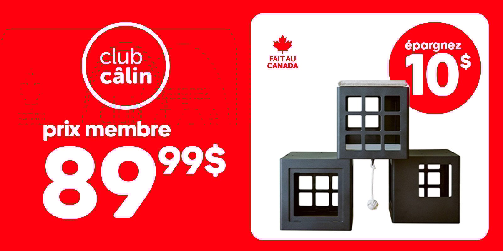 KATT KUBE BEONEBREED