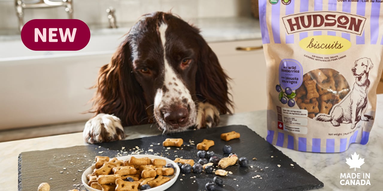 Gift ideas under $30