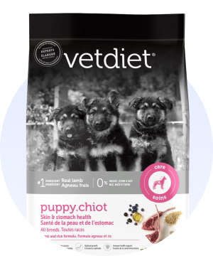 Nourriture pour chiots