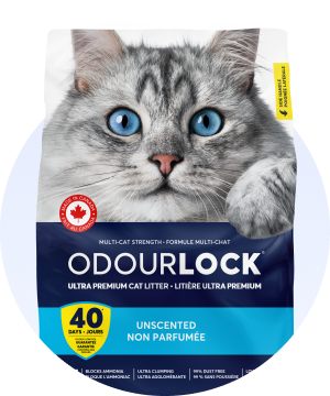 Litière et propreté pour chats