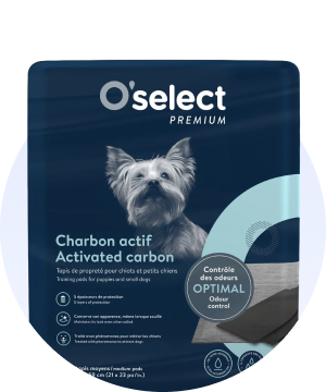 Soins et propreté pour chiens