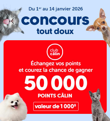 Concours Club Câlin - 1 au 14 janvier