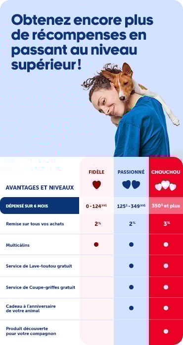 Le Club Câlin fait des petits et se divise maintenant en trois niveaux pour être plus généreux que jamais!