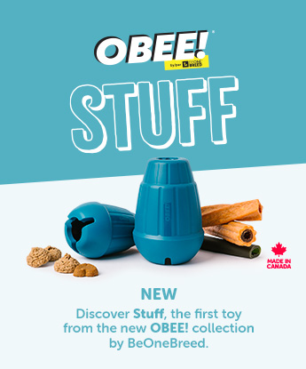 Discover Stuff, the first toy from the new OBEE! collection by BeOneBreed. This toy is sustainable and eco-friendly. Learn more.
                    