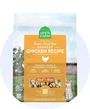 Freeze-dried food