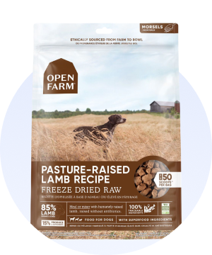 Freeze-Dried Food