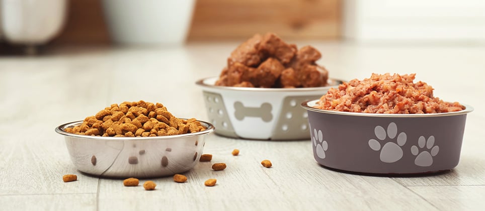 What kind of food should you choose for your cat or dog?