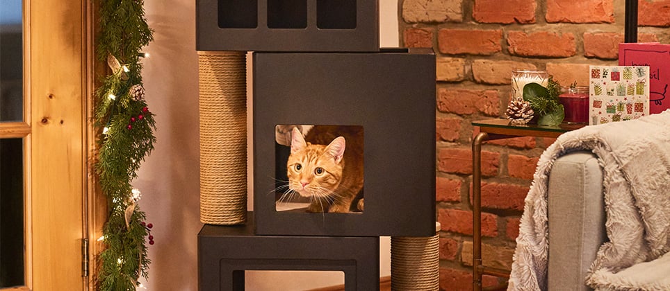 Top 5 best cat trees