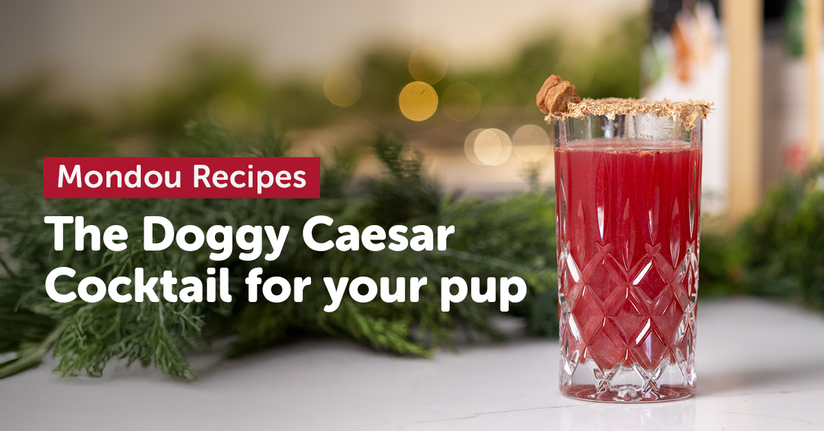 Mondou Recipes: The Doggy Caesar, a holiday cocktail for your pup
