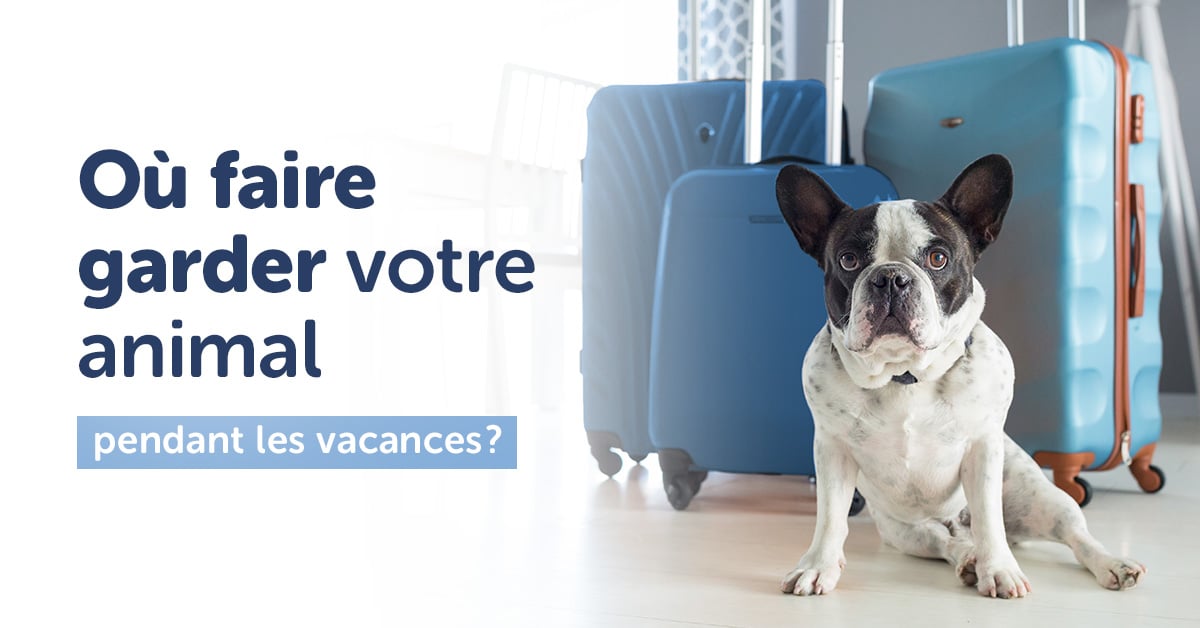 Garder Une Maison Pendant Les Vacances Gratuitement | Ventana Blog