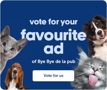 Vote for your favourite ad - of Bye Bye de la pub
