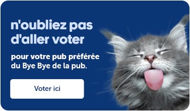 N'oubliez pas d'aller voter