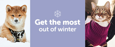 Get the most out of winter