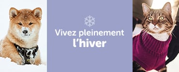 Vivez l'hiver