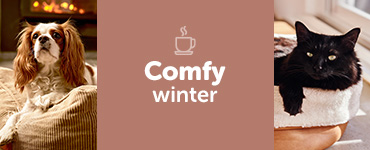 Comfy Winter