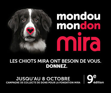Mondou Mondon Mira, jusqu'au 8 octobre, faites un don !