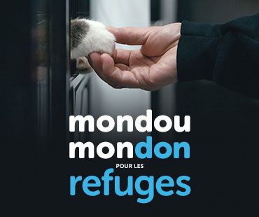 Mondou Mondon pour les refuges | Donnez pour leur offrir une deuxième chance