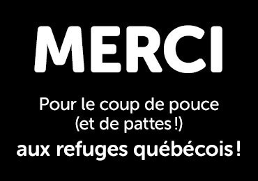 Merci d'aider les refuges québécois.