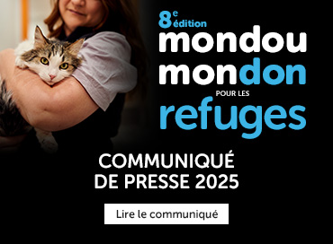 Communiqué de presse 2025 pour Mondou Mondou Mira
