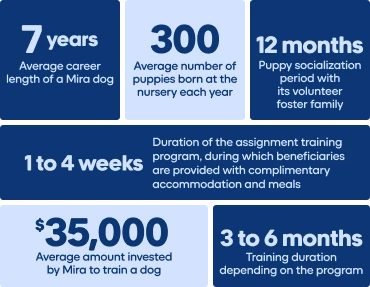 Infographic showing a Mira dog's journey in numbers