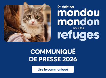 Communiqué de presse 2026 pour Mondou Mondou Mira