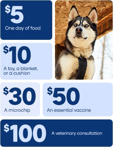 Banner prices and donations