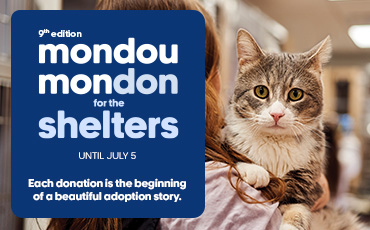 9th edition of Mondou Mondon for Shelters
