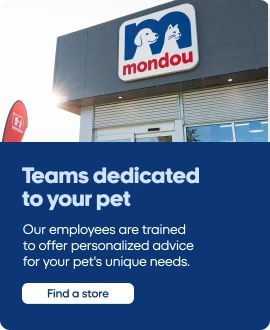 Teams dedicated to your pet