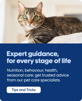 Expert Guidance