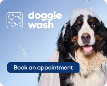 Doggie wash