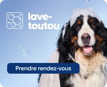 Service lave-toutou