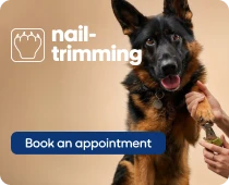 Nail-trimming