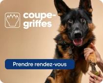 Service coupe-griffe