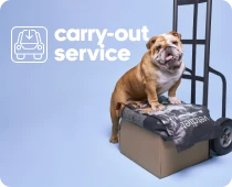 Carry out service