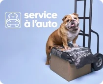 Service à l'auto