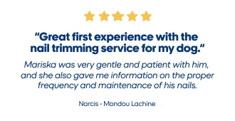 Reviews