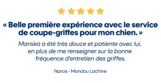 Reviews