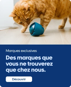 Nos marques exclusives