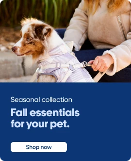 Seasonal collections