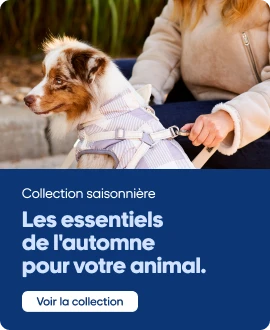 Nos collections saisonnières